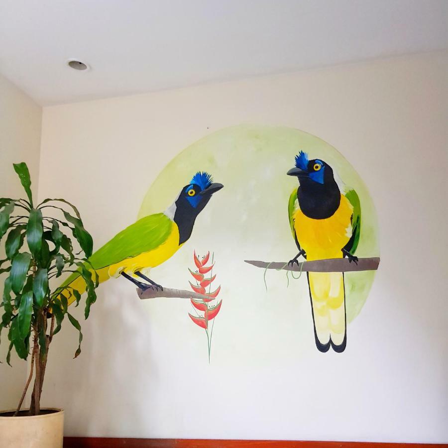 Roof Hostel 칼리 외부 사진
